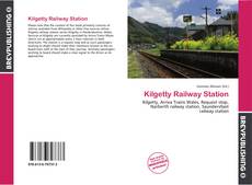 Kilgetty Railway Station kitap kapağı