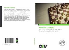 Portada del libro de Michele Godena