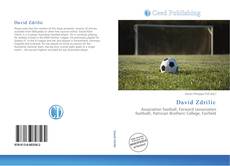 Copertina di David Zdrilic