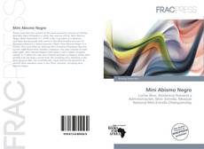 Mini Abismo Negro的封面