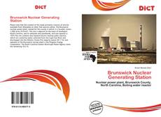 Capa do livro de Brunswick Nuclear Generating Station 