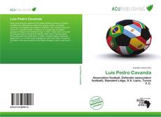 Buchcover von Luis Pedro Cavanda
