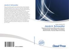 Jacob A. Schowalter kitap kapağı