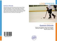 Bookcover of Gaetano Orlando