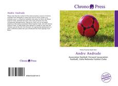 Capa do livro de Andre Andrade 