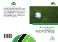 Copertina di Bruno Barbosa da Encarnação