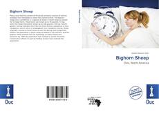 Copertina di Bighorn Sheep