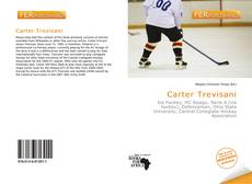 Bookcover of Carter Trevisani