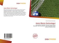Jesús María Satrústegui的封面