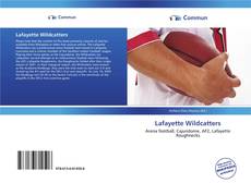 Capa do livro de Lafayette Wildcatters 