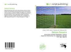 Bookcover of Delson Ferreira