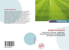 Buchcover von Joseba Etxeberria