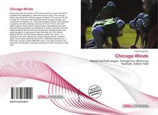 Couverture de Chicago Winds