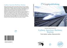 Bookcover of Lydney Junction Railway Station