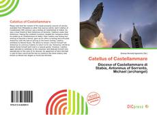 Copertina di Catellus of Castellammare