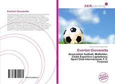 Capa do livro de Everton Giovanella 