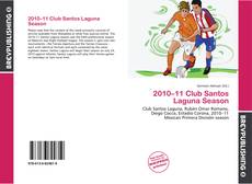 Copertina di 2010–11 Club Santos Laguna Season