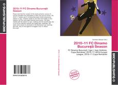 Copertina di 2010–11 FC Dinamo Bucureşti Season
