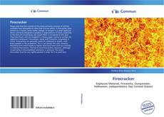 Capa do livro de Firecracker 