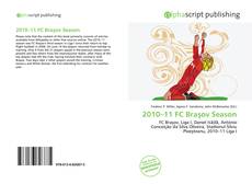 Bookcover of 2010–11 FC Braşov Season