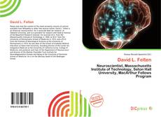 Portada del libro de David L. Felten