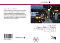 Capa do livro de Castor Railway Station 