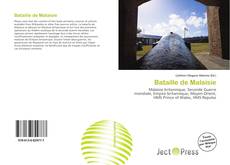 Portada del libro de Bataille de Malaisie