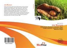 Bookcover of Joe Munson