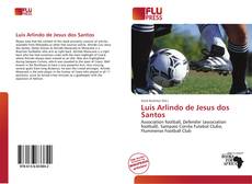 Couverture de Luis Arlindo de Jesus dos Santos