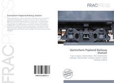 Portada del libro de Gorinchem Papland Railway Station