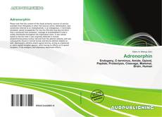 Buchcover von Adrenorphin