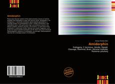 Buchcover von Amidorphin