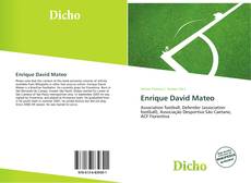 Copertina di Enrique David Mateo