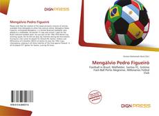 Bookcover of Mengálvio Pedro Figueiró