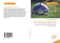 Alex Raphael Meschini的封面