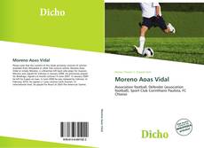 Capa do livro de Moreno Aoas Vidal 