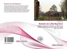 Capa do livro de Bataille de Little Big Horn 