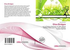 Capa do livro de Elisa Bridges 