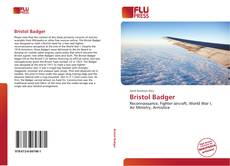 Bookcover of Bristol Badger