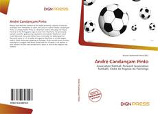 Bookcover of André Candançam Pinto