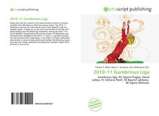 2010–11 Gambrinus Liga kitap kapağı