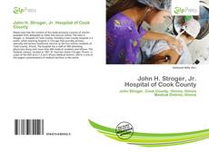 Bookcover of John H. Stroger, Jr. Hospital of Cook County