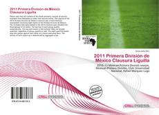 2011 Primera División de México Clausura Liguilla kitap kapağı