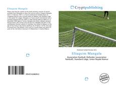 Bookcover of Eliaquim Mangala