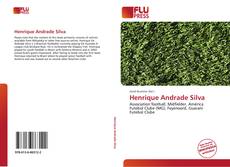 Bookcover of Henrique Andrade Silva