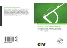 Portada del libro de Bruno Leonardo Vicente