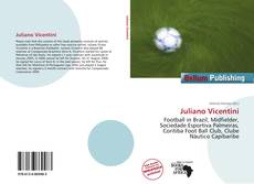 Portada del libro de Juliano Vicentini