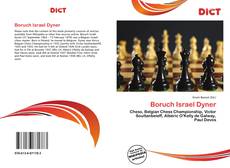 Couverture de Boruch Israel Dyner