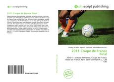 Обложка 2011 Coupe de France Final