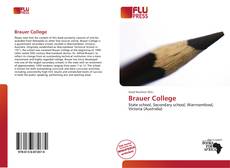 Couverture de Brauer College